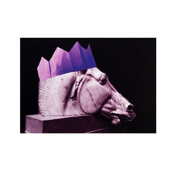 'Party Horses' In Purple Hats Greetings Cards Six Pack, 2 of 2