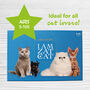 I Am Zat Cat ~ Gift For Cat Lovers Of All Ages / Game About Cats / Cat Themed Gift / Fun Game For Christmas Eve Box, thumbnail 3 of 9