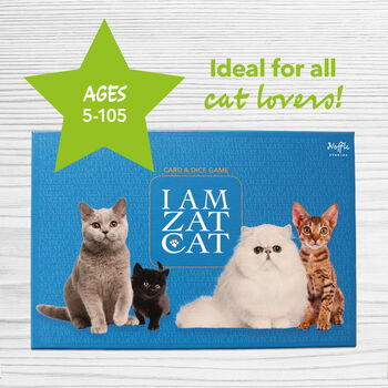 I Am Zat Cat ~ Gift For Cat Lovers Of All Ages / Game About Cats / Cat Themed Gift / Fun Game For Christmas Eve Box, 3 of 9