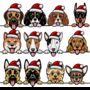 Personalised Dog Christmas Wrapping Paper, thumbnail 8 of 8