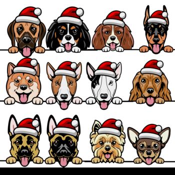 Personalised Dog Christmas Wrapping Paper, 8 of 8