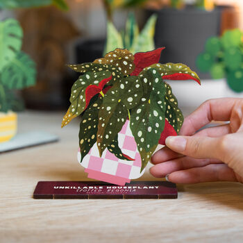 Spotted Begonia Unkillable Houseplant Pop Out Card, 3 of 4