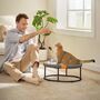 Cat Hammock Raised Bed Pet Bedding Hanging Chair Bed, thumbnail 1 of 7