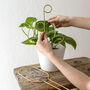 Mini Golden Plant Stake, thumbnail 1 of 7