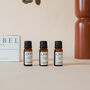 Set Of Three Italy Inspired Diffuser Fragrance Oils, thumbnail 1 of 4