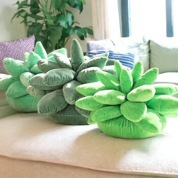 Cactus Plant Cushions, 7 of 7