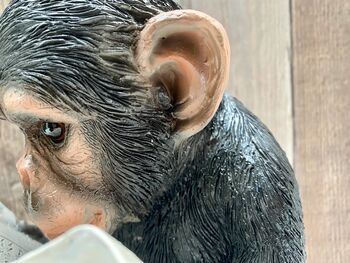 Monkey Reading Newspaper Ornament – Statue Figurine, 7 of 9