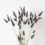 Grey Dried Fluffy Bunny Tails, thumbnail 3 of 4