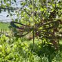 Metal Art Dragonfly Insect Mobile, Tree Hanger, thumbnail 2 of 10