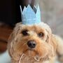 Gingham Dog Birthday Crown, thumbnail 2 of 10