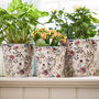 Set Of Three Victoria Floral Planters, thumbnail 1 of 4