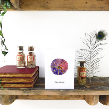 Echinozoa Purple Sea Urchin Greetings Card, 3 of 7