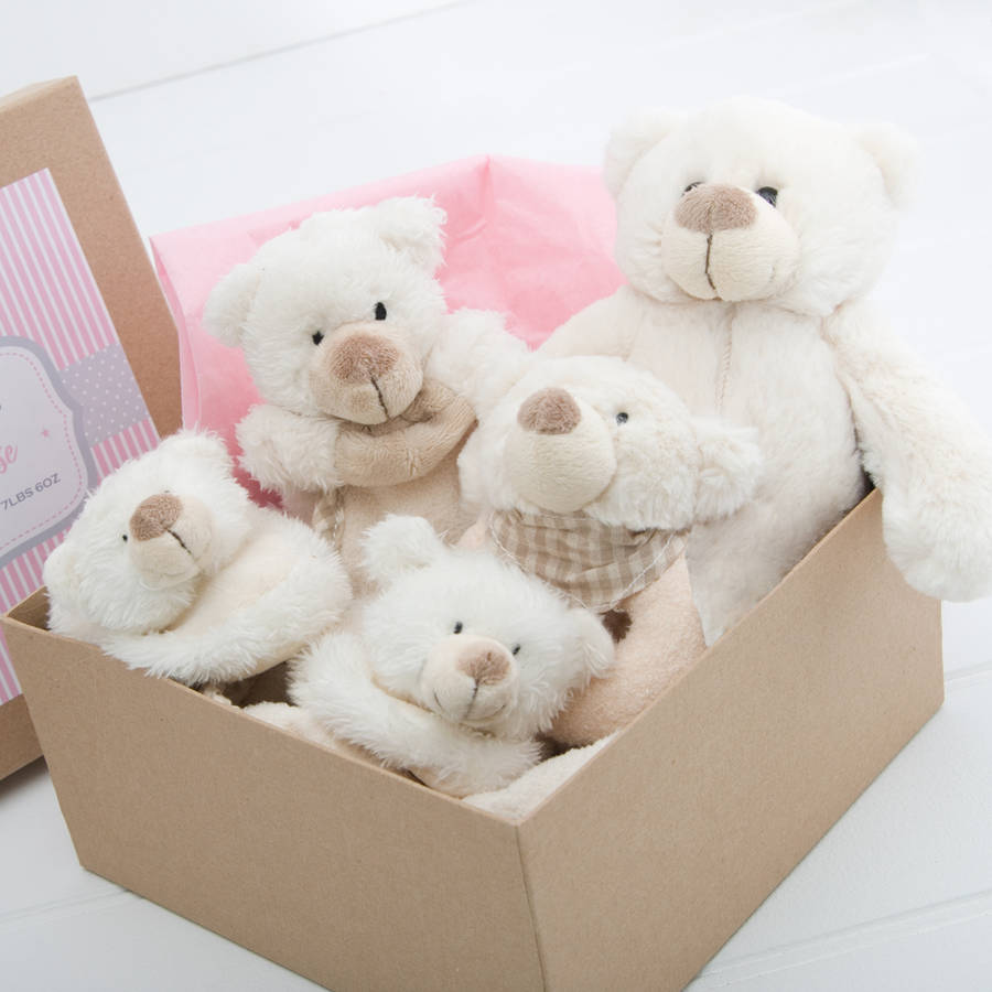 teddy box