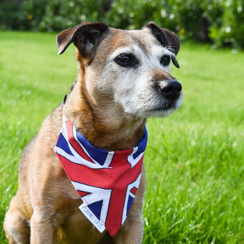 King's Coronation Union Jack Dog Bandana, 5 of 7
