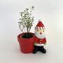 Christmas Santa Claus Planter + Thyme Plants, thumbnail 1 of 4
