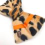 Leopard Neon Dog Bow Tie, thumbnail 11 of 12