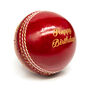 Engraved Cricket Ball Happy Birthday Ball, thumbnail 2 of 3