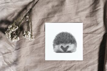 Persei The Luxury Hedgehog Blank Greeting Card, 7 of 7