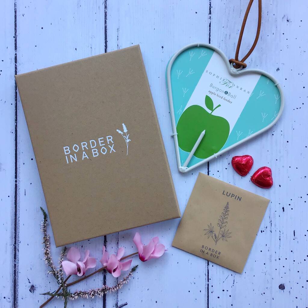 Heart Shaped Bird Feeder And Seeds By Border In A Box