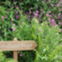 Country Lane Wooden Wedding Event Signs, thumbnail 4 of 9