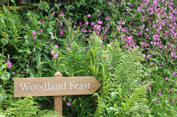 Country Lane Wooden Wedding Event Signs, 4 of 9