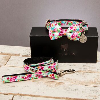 Clifton Rainbow Floral Bow Tie Collar And Lead, 2 of 6