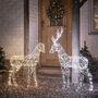 Duchy Stag And Doe Dual Colour Micro LED Reindeer, thumbnail 3 of 4