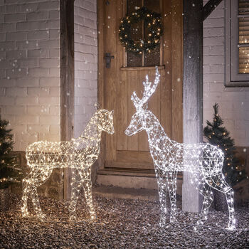 Duchy Stag And Doe Dual Colour Micro LED Reindeer, 3 of 4