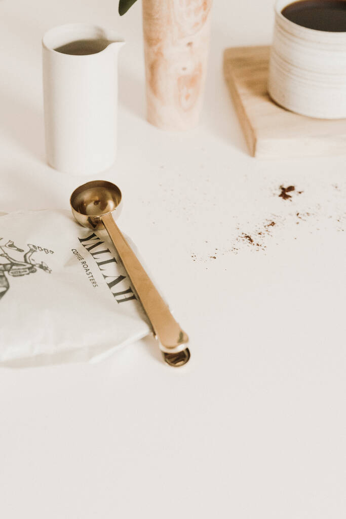 Coffee Scoop And Clip Gold By Fresh Thinking Co