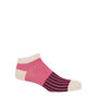 Oxford Stripe Burgundy Luxury Crew And Trainer Men Socks, thumbnail 5 of 5