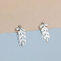Sterling Silver Leaf Branch Hook Earrings, thumbnail 1 of 5