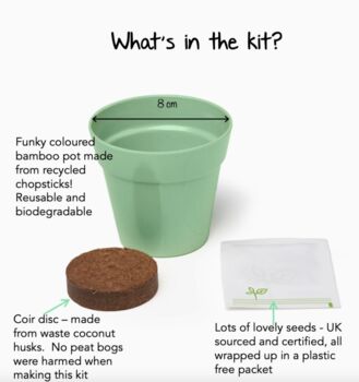 Childs Grow Your Own Dancing Plant Kit, 2 of 5