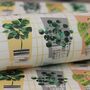 House Plant Gift Wrapping Paper Set, thumbnail 1 of 6