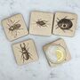 Wooden Bug Coasters, thumbnail 4 of 7