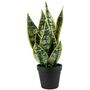 Artificial Potted Snake Plant, thumbnail 4 of 4
