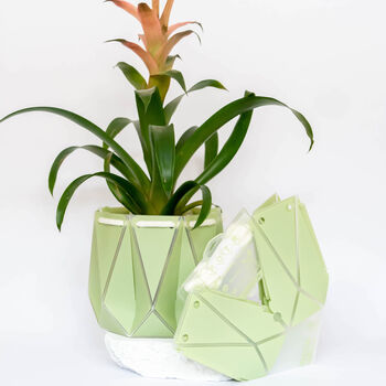 Origami Self Watering Eco Plant Pot: 18cm | Sage, 6 of 6