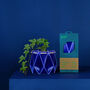 Origami Self Watering Eco Plant Pot: 15cm | Navy, thumbnail 3 of 7