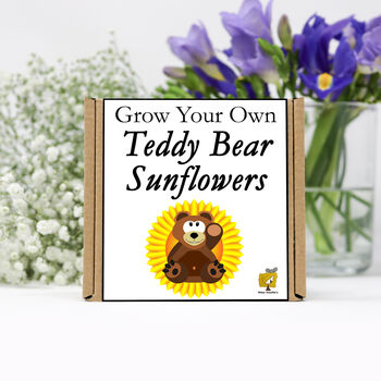 Gardening Gift. Grow Your Own Teddy Bear Sunflower Kit, 2 of 5
