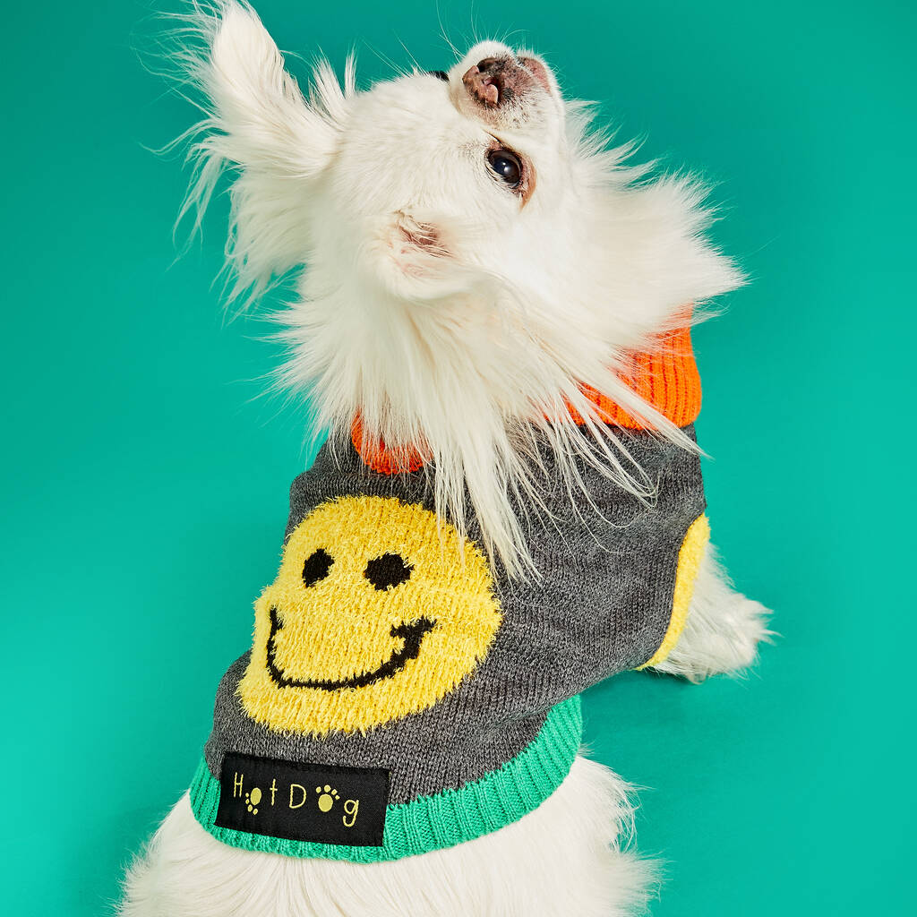 Smiley Knitted Dog Jumper, 1 of 5
