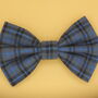 Blue Check Dog Bow Tie, thumbnail 1 of 5