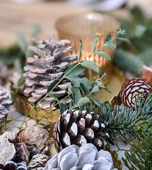 Natural Assortment Of Pine Cones White Christmas, 2 of 5