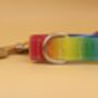 Rainbow Ombré Dog Collar And Lead Accessory Set, thumbnail 3 of 12