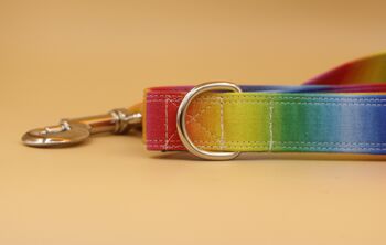 Rainbow Ombré Dog Collar And Lead Accessory Set, 3 of 12