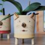Cat Face Ceramic Plant Pot, thumbnail 4 of 9