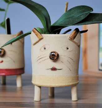 Cat Face Ceramic Plant Pot, 4 of 9