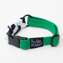 Cow Print And Green • Padded Dog Collar, thumbnail 4 of 5