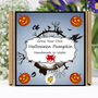 Gardening Gift. Pumpkin Growing Kit, thumbnail 1 of 6