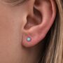 Tiny Sterling Silver Turquoise Stud Earrings, thumbnail 1 of 4