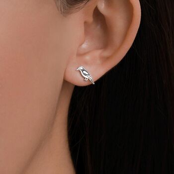 Sterling Silver Great Spotted Woodpecker Stud Earrings, 2 of 11