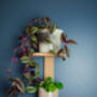 Bamboo Double Plant Shelf, thumbnail 1 of 3